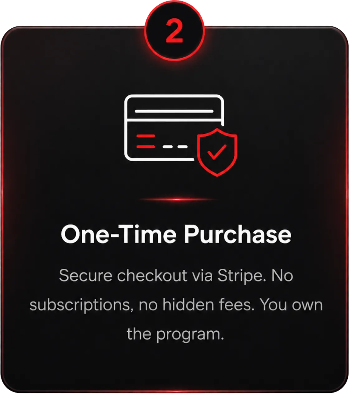 Step 2: One-Time Purchase — Secure checkout via Stripe. No subscriptions, no hidden fees. You own the program.